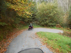 DSCN9911 DSCN9911