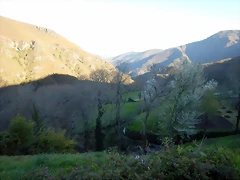 DSCN9113 DSCN9113
