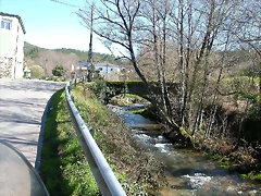 DSCN7924 DSCN7924