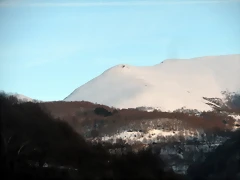 DSCN2584 DSCN2584
