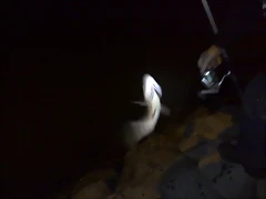 08012011803 08012011803
