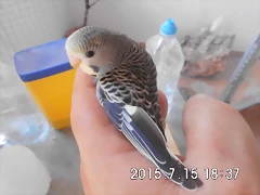 CIMG1318 CIMG1318