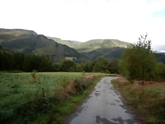DSCN6937 DSCN6937