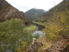 DSCN8431 DSCN8431