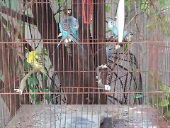 20170729_114533 20170729_114533