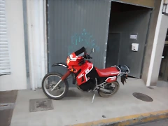 DSCN2164 DSCN2164