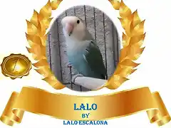 AGARPONI GANADOR