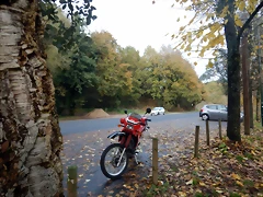 DSCN1790 DSCN1790
