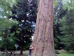 IMG-20170808-WA0035