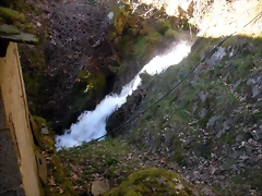 DSCN2987 DSCN2987