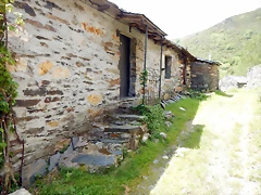 DSCN1133 DSCN1133
