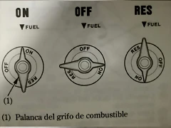 grifo