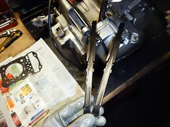 DSCN1433 DSCN1433