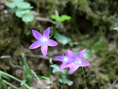 IMG_6676 IMG_6676