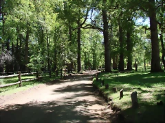 san martin de los andes 275 san martin de los andes 275