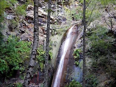 DSCN9594 DSCN9594