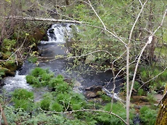 DSCN9240 DSCN9240