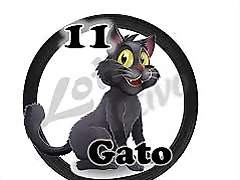 gato