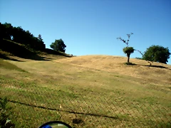 P1010111 P1010111