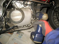 IMG_1556 IMG_1556