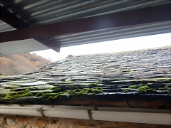 DSCN2247
