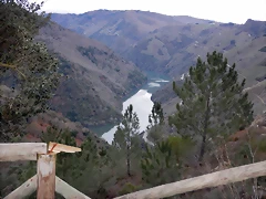 DSCN0282 DSCN0282