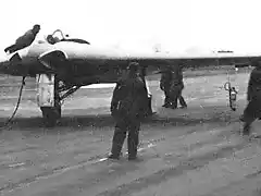 horten9