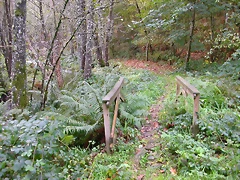 DSCN5732