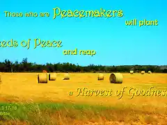 peacemakers-seeds_of_peace