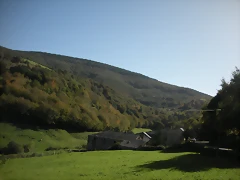 DSCN0037 DSCN0037