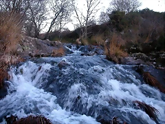 DSCN6696 DSCN6696