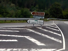 DSCN8579