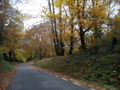 DSCN0817 DSCN0817