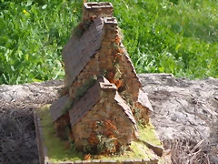 DSC00337 (Medium)