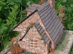 DSC00332 (Medium)