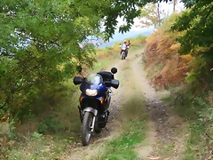 IMG_4762 IMG_4762