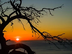 003_DF_038 -Editar
