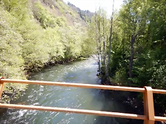 DSCN4586 DSCN4586