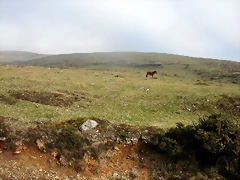 DSCN8143 DSCN8143