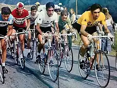 Tour-Oca?a-Merckx-Zoetemelk-Gimondi-Poulidor