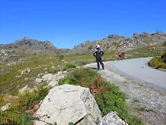 IMG_8541