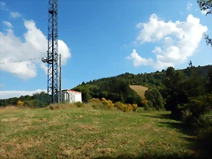 DSCN9238 DSCN9238