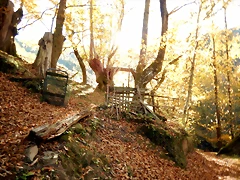 DSCN9672 DSCN9672