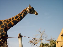 PIC04836
