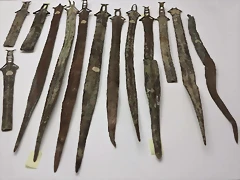 Espadas-de-lengua-de-carpa-Huelva-01