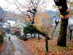 DSCN0389 DSCN0389