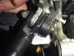 DSCN3186 DSCN3186