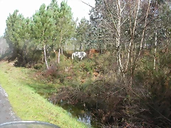 DSCN7690 DSCN7690