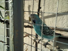 IMG_20171023_094555 IMG_20171023_094555