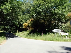 DSCN2245 DSCN2245